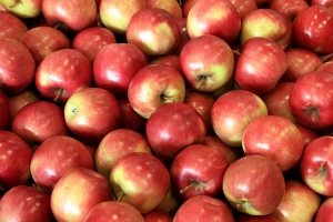Због повећаног нивоа пестицида са тржишта повучене јабуке...