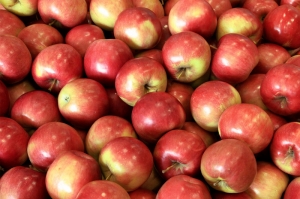 Дозвољен промет јабуке Идаред произвођача "Оги воће" д.о.о. Градишка...